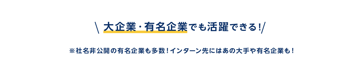 キャリアインターンのポイント